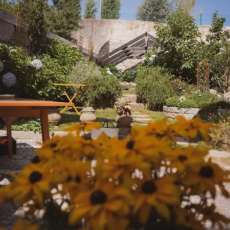 Hidden Gem Near Center- Garden, Outdoor Kitchen, Sauna Villa Porto