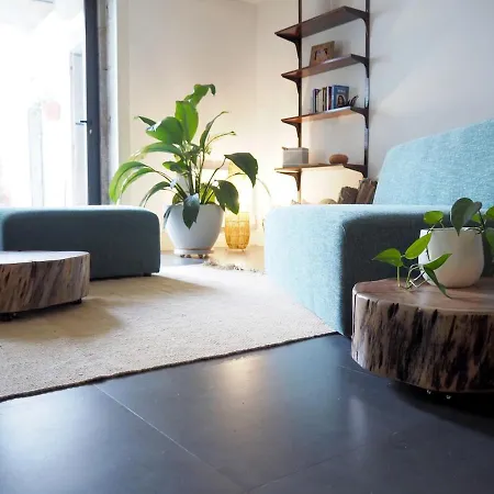 Hidden Gem Near Center- Garden, Outdoor Kitchen, Sauna Villa *