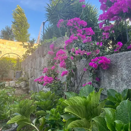 Hidden Gem Near Center- Garden, Outdoor Kitchen, Sauna Villa *