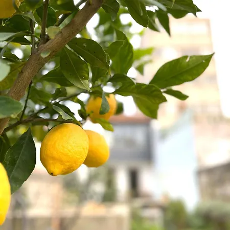 Hidden Gem Near Center- Garden, Outdoor Kitchen, Sauna Porto