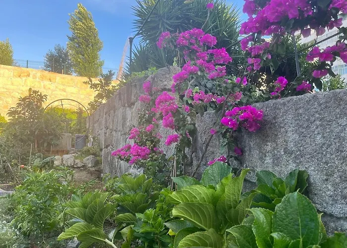 Hidden Gem Near Center- Garden, Outdoor Kitchen, Sauna Vila *