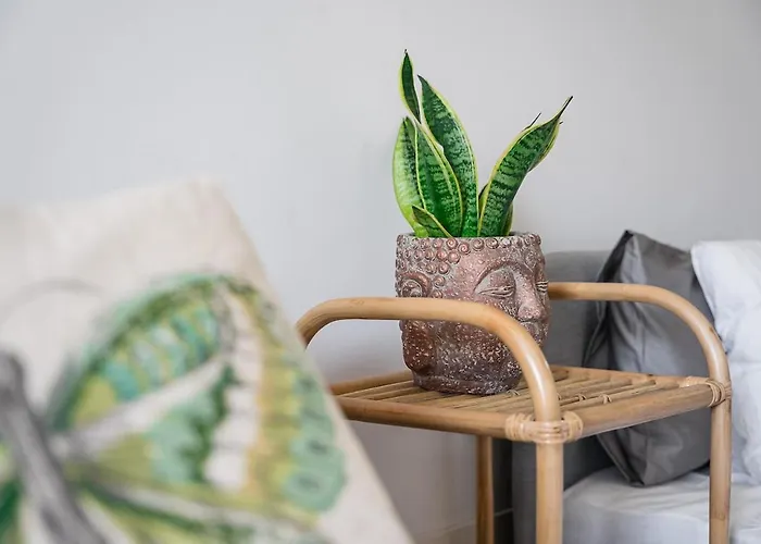 Hidden Gem Near Center- Garden, Outdoor Kitchen, Sauna Porto