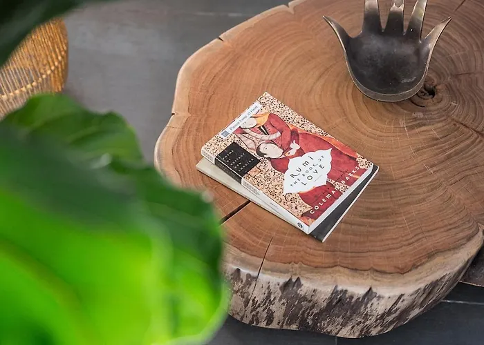 Hidden Gem Near Center- Garden, Outdoor Kitchen, Sauna Villa