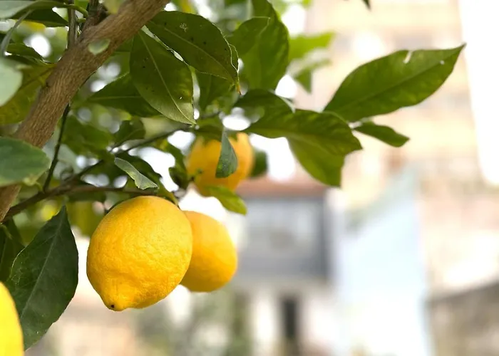 Hidden Gem Near Center- Garden, Outdoor Kitchen, Sauna Oporto