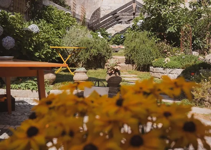 Hidden Gem Near Center- Garden, Outdoor Kitchen, Sauna Villa Oporto